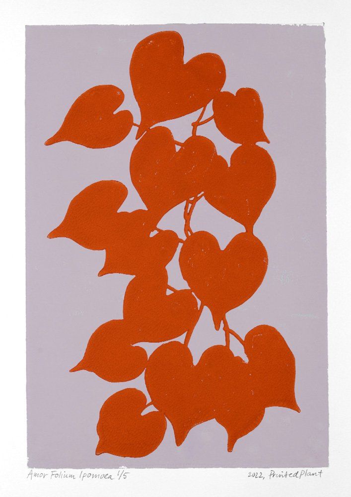 Orange heart-shaped leaves on a vine against a lavender background.