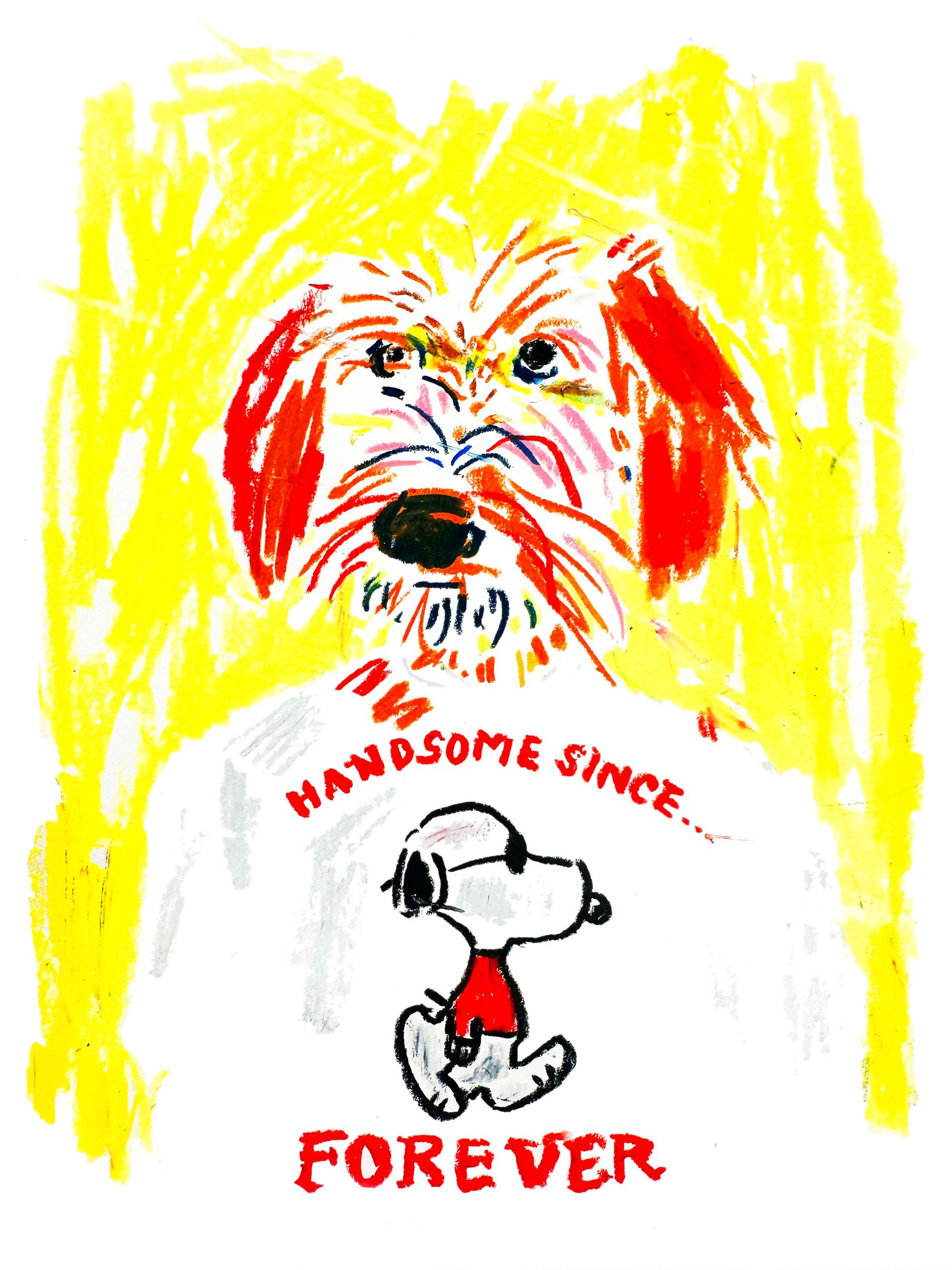 Shaggy dog portrait wearing a t-shirt with Snoopy cartoon and