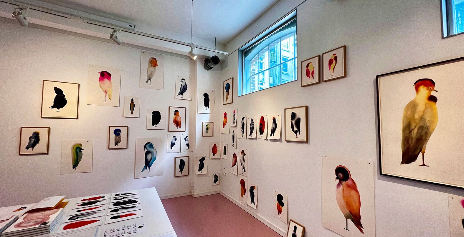 Art gallery interior: framed bird artwork on white walls. One corner shows a pink floor.