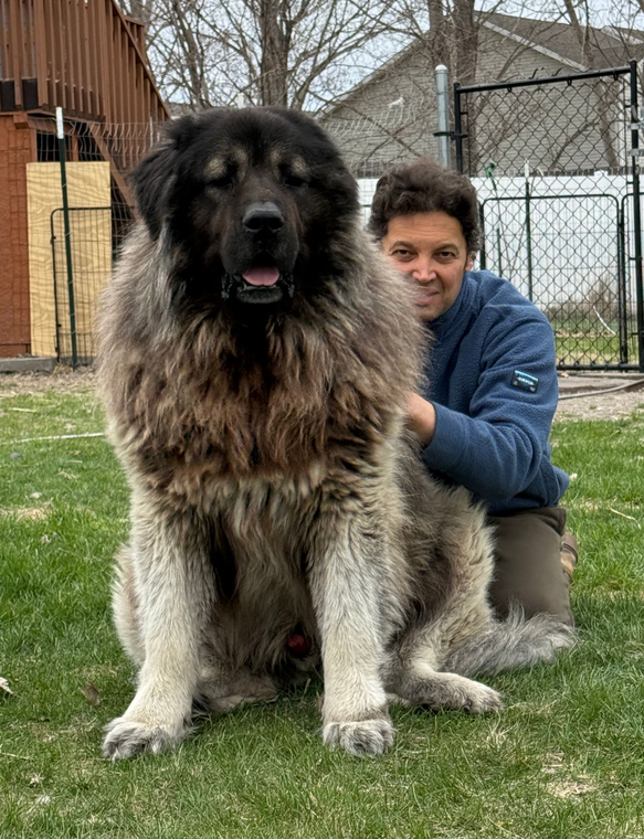 A large, fluffy, tan and black dog lies on a wooden deck next to a young person wearing glasses and a patterned top.