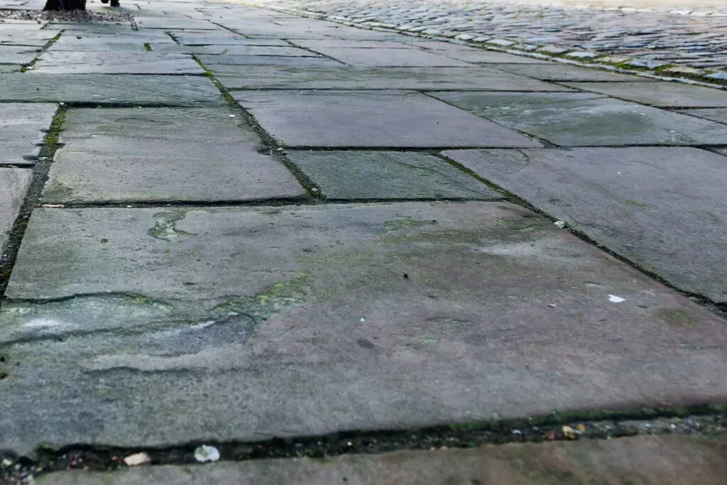 Gray stone pavers on a ground surface, showing weathered textures, natural moss growth, and gaps filled with small stones.