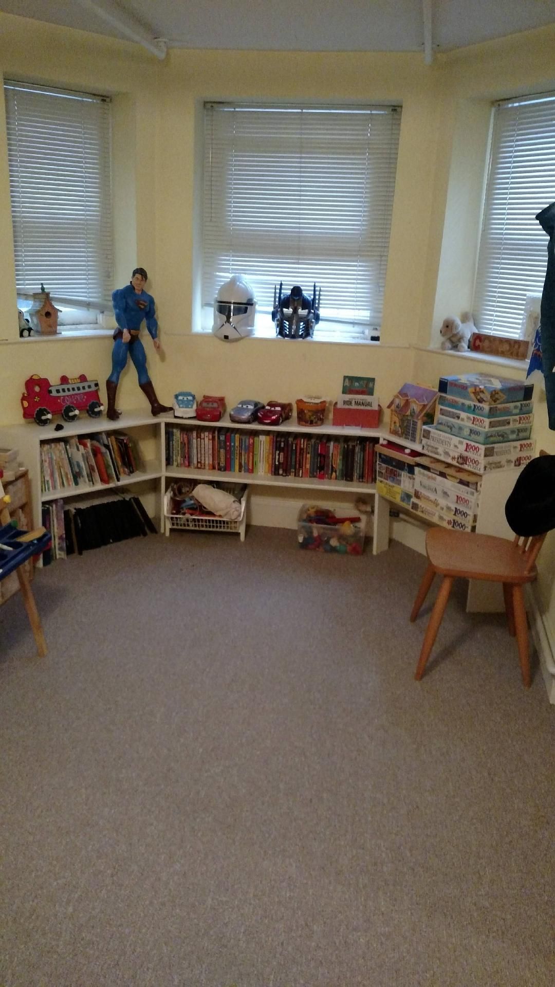 A room filled with lots of toys and books.