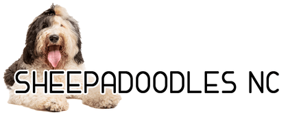 Sheepadoodles NC