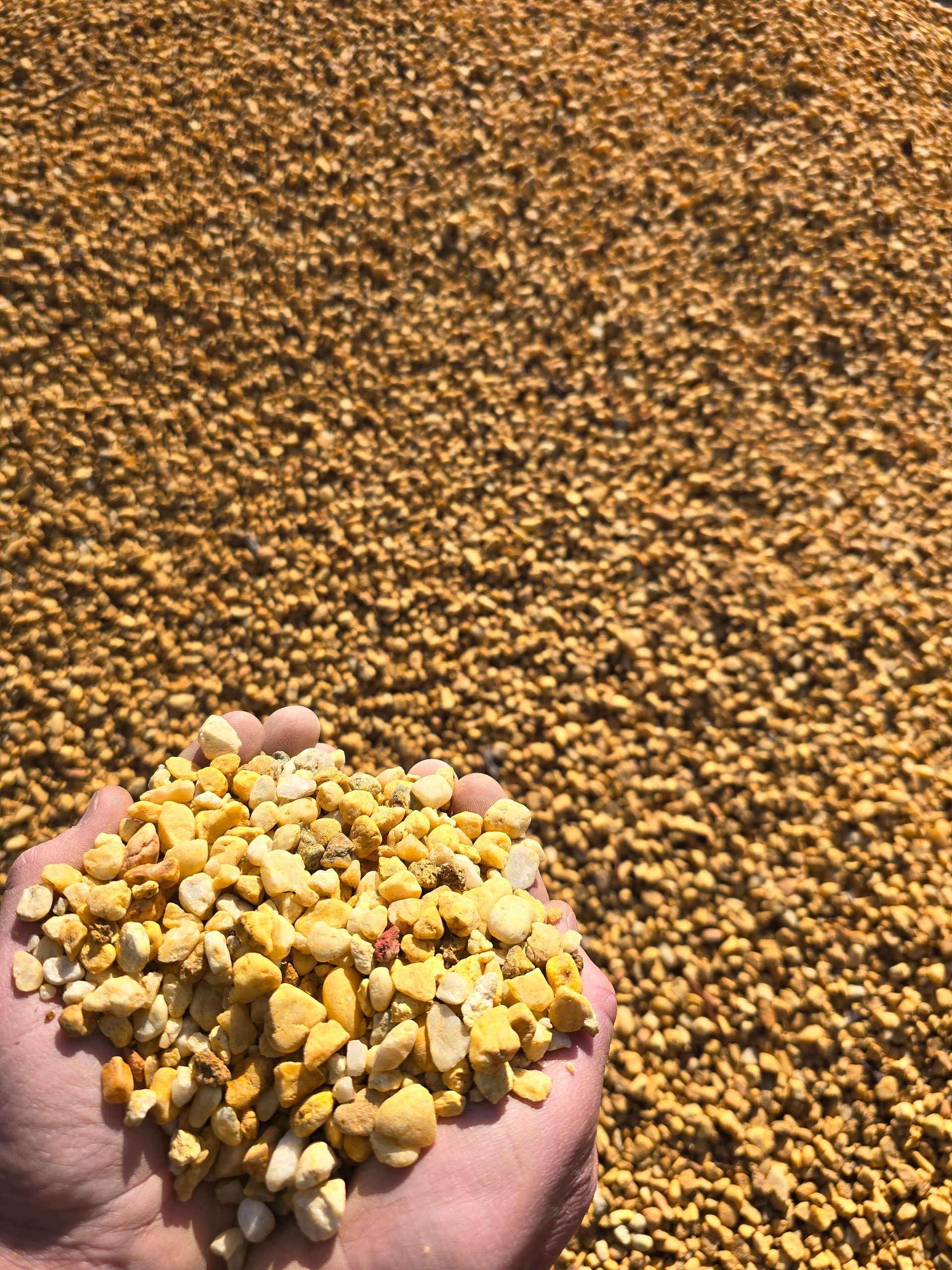 Handful of Yellow Gravel Stones Against a Larger Gravel Pile — BVN Landscape and Concrete Supplies in St Georges Basin, NSW