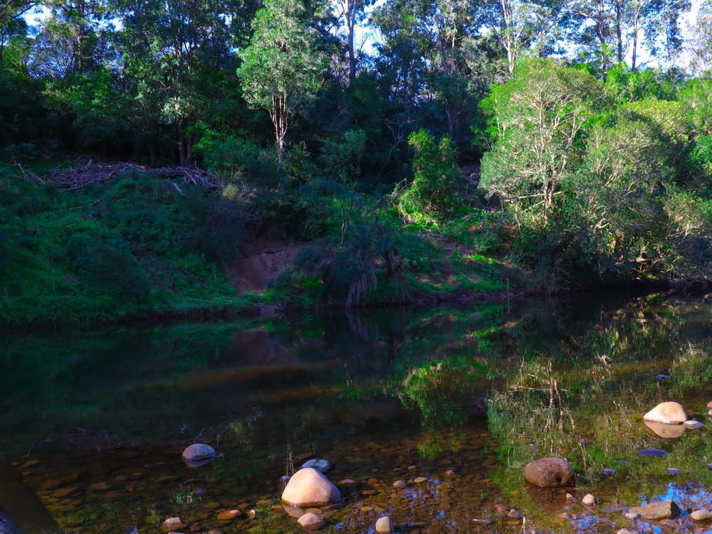 A River Surrounded by Trees and Rocks in The Middle of A Forest — BVN Landscape and Concrete Supplies in Berry, NSW