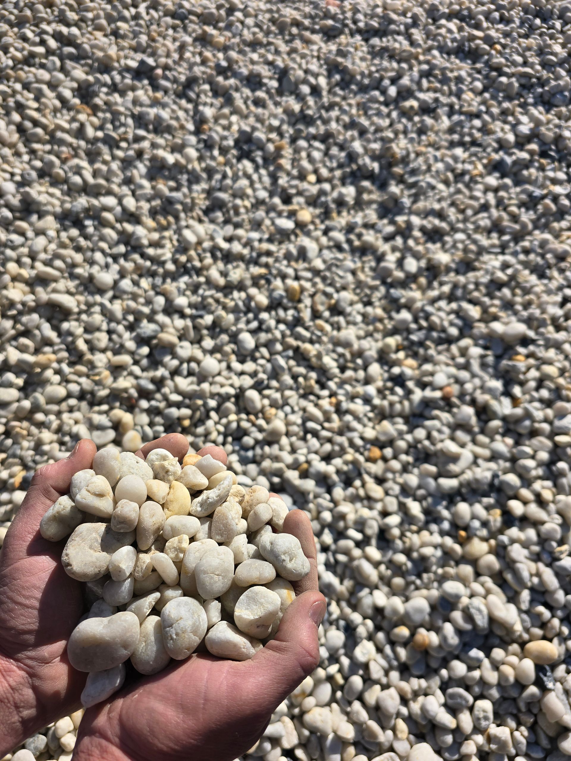 Hands Holding a Pile of Small, Light-coloured Gravel — BVN Landscape and Concrete Supplies in St Georges Basin, NSW