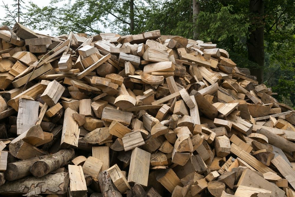 Large Pile of Split Firewood Stacked Outdoors Beside Trees — BVN Landscape and Concrete Supplies in Sanctuary Point, NSW