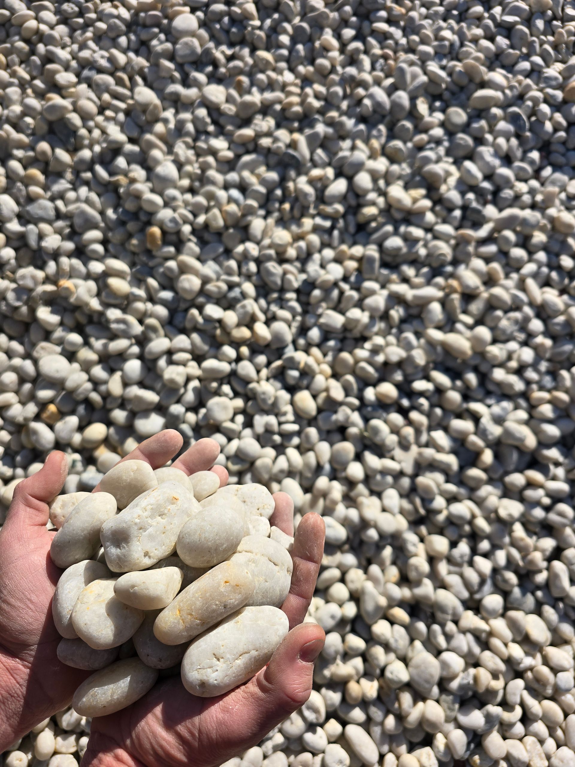 Hands Holding White, Smooth River Rocks — BVN Landscape and Concrete Supplies in St Georges Basin, NSW