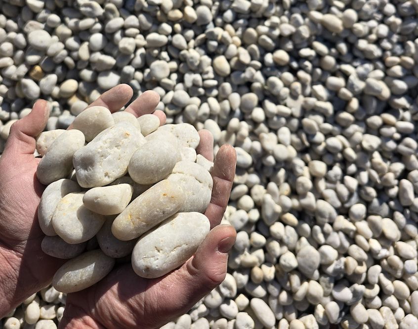 A Person Is Holding a Pile of White Rocks in Their Hands — BVN Landscape and Concrete Supplies in Nowra, NSW