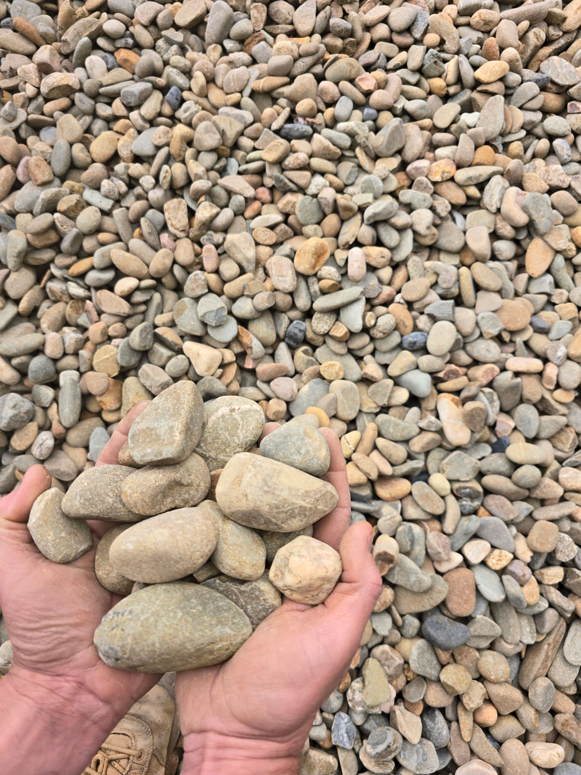 Hands Holding Beige River Rocks — BVN Landscape and Concrete Supplies in Vincentia, NSW
