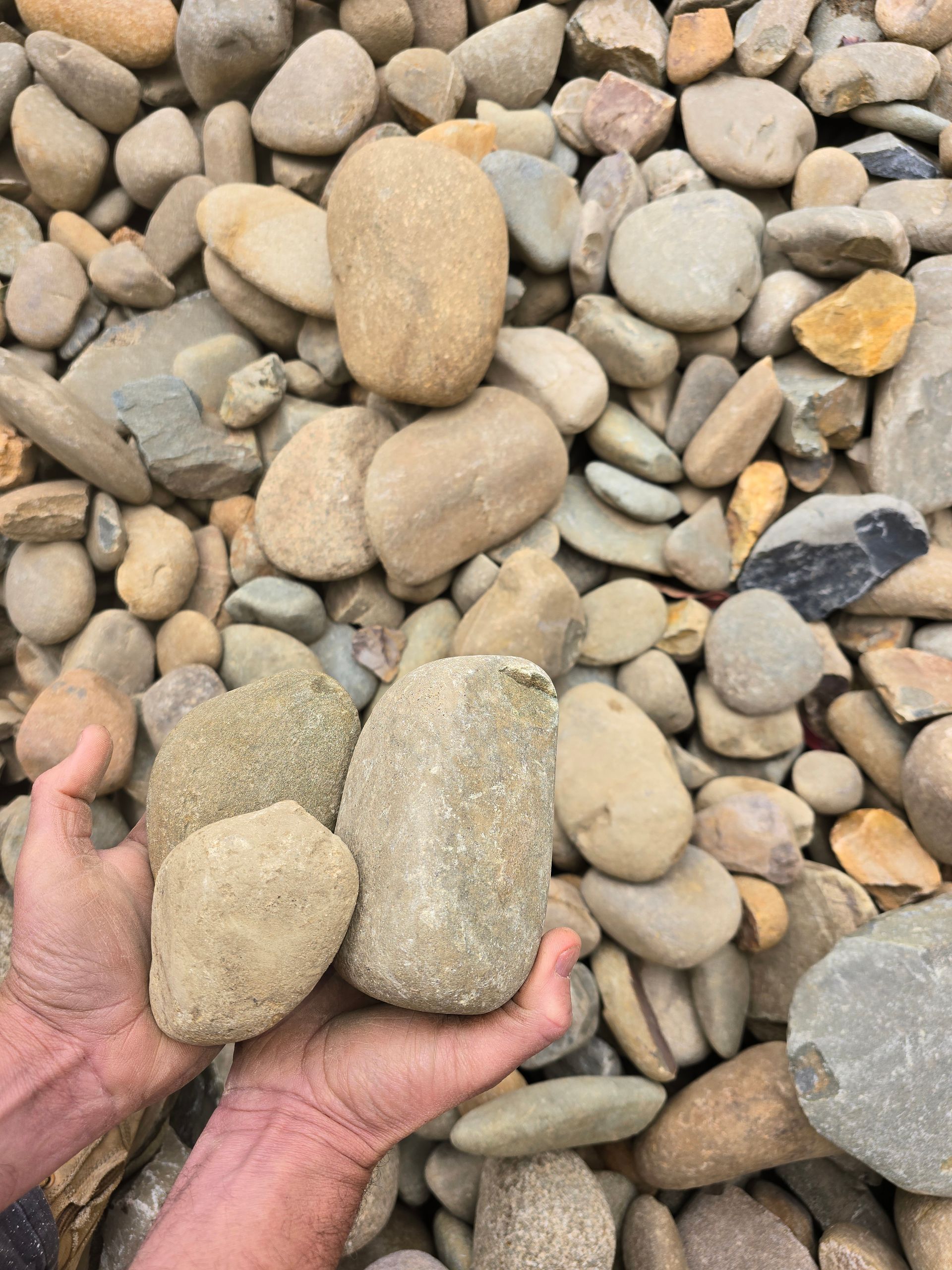 Hands Holding Beige and Tan River Rocks — BVN Landscape and Concrete Supplies in St Georges Basin, NSW