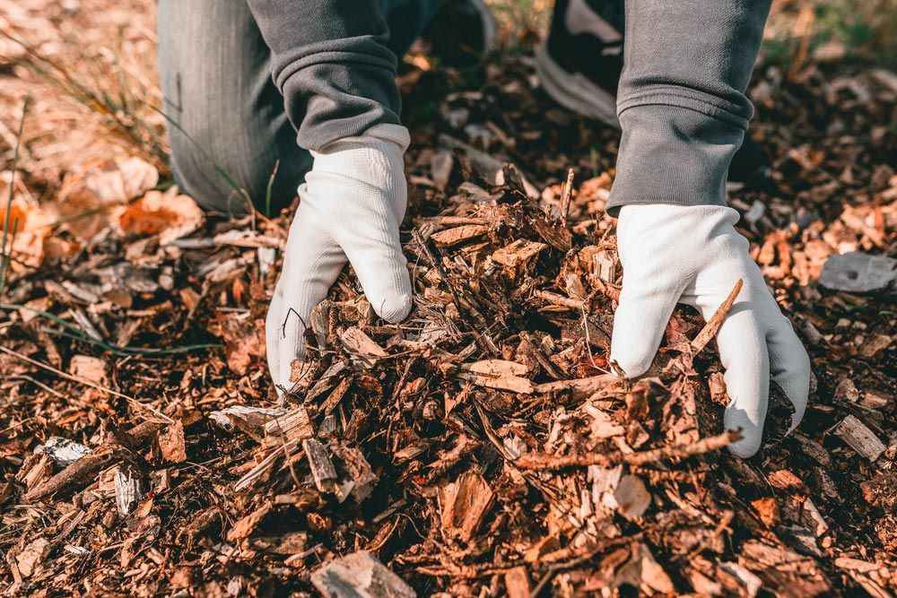 Closer Look Of A High-quality Mulch 