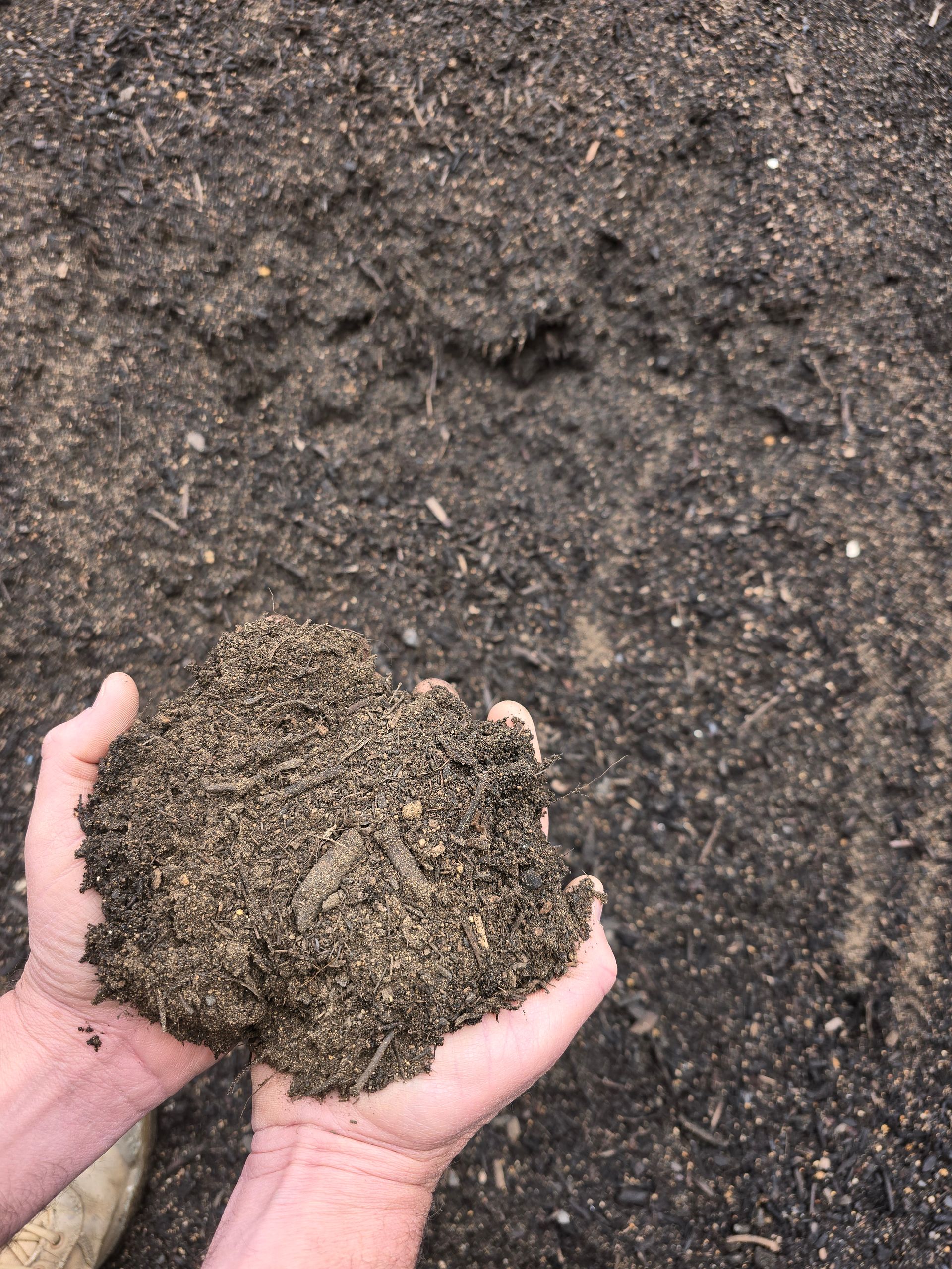Hands Holding a Dark, Crumbly Soil Sample — BVN Landscape and Concrete Supplies in Berry, NSW