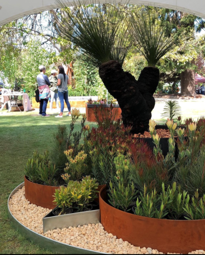 A Sculptural Garden Bed With a Central Grass Tree — BVN Landscape and Concrete Supplies in St Georges Basin, NSW