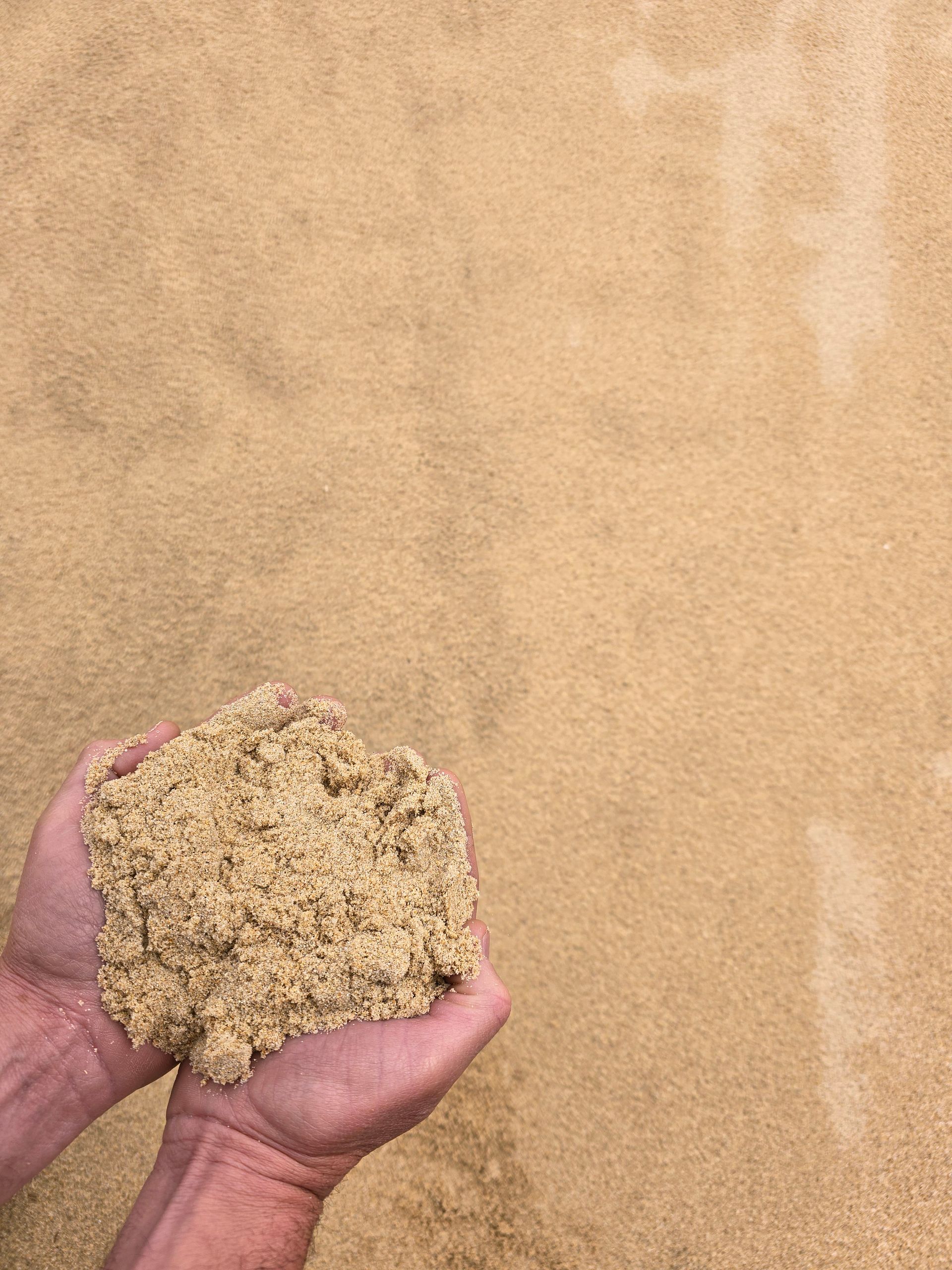 Person Holding a Handful of Beige Grain — BVN Landscape and Concrete Supplies in St Georges Basin, NSW