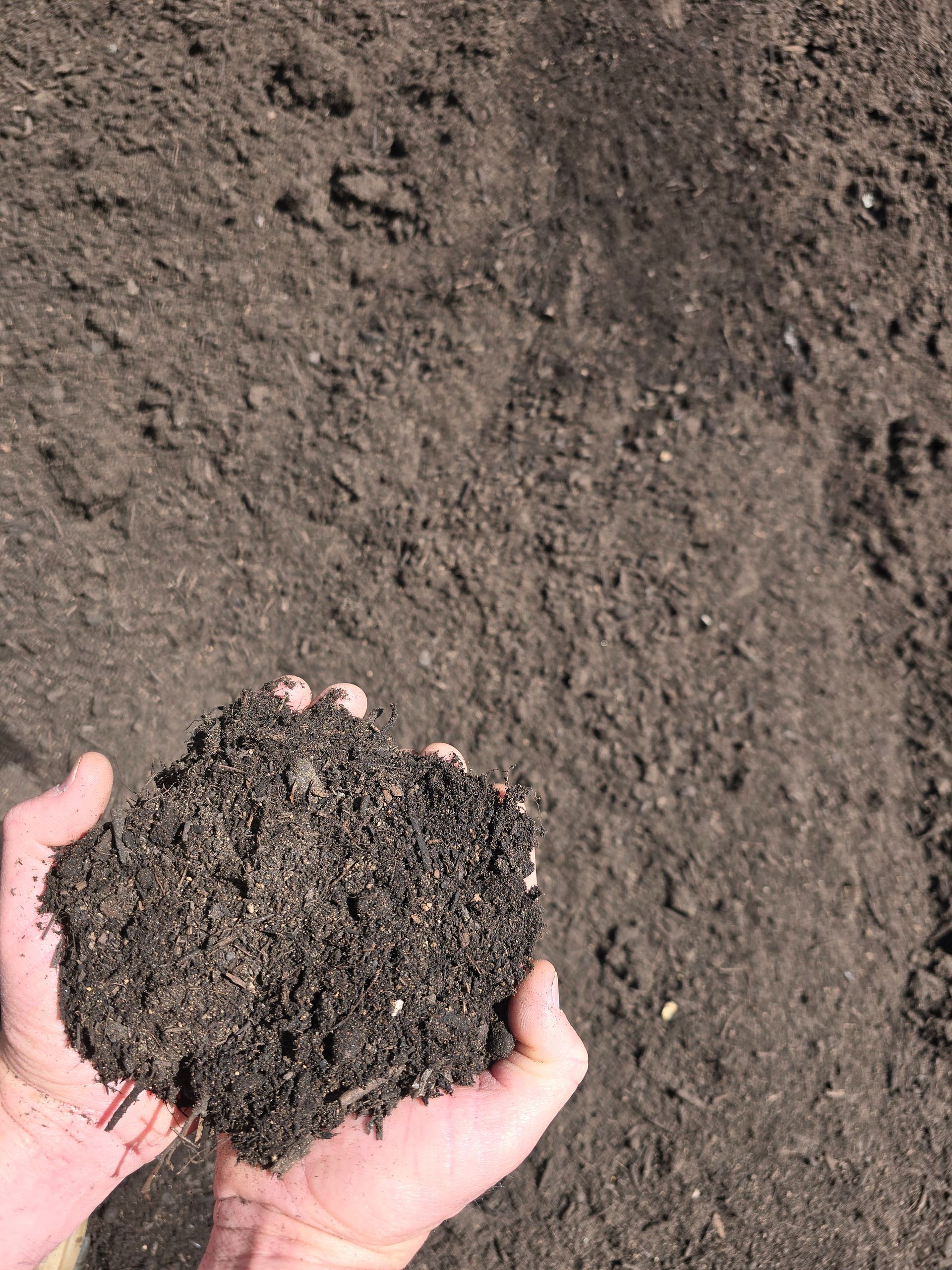 Hands Holding a Clump of Dark, Rich Soil — BVN Landscape and Concrete Supplies in Sussex Inlet, NSW