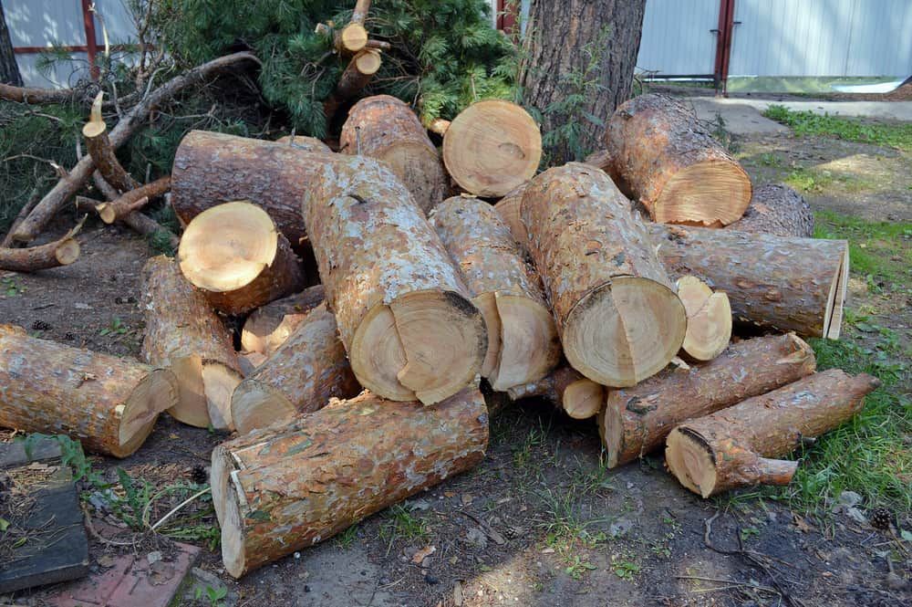 Stack of Cut Logs and Firewood Piled on the Ground — BVN Landscape and Concrete Supplies in St Georges Basin, NSW