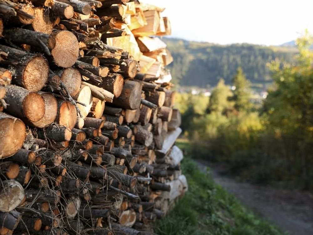 Stacked Firewood Logs Beside a Forest Path — BVN Landscape and Concrete Supplies in St Georges Basin, NSW