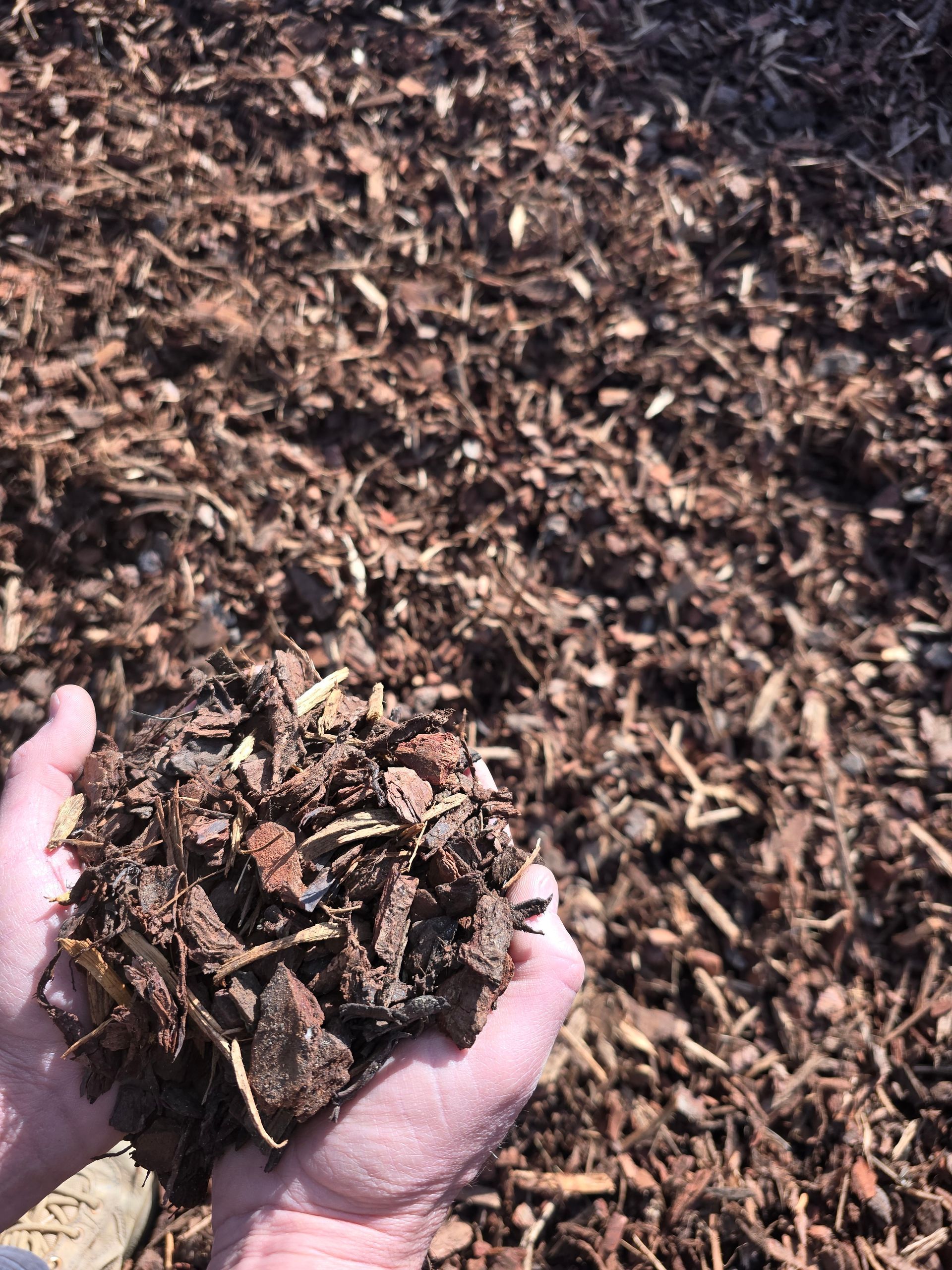 Hands Holding a Handful of Brown Mulch — BVN Landscape and Concrete Supplies in St Georges Basin, NSW