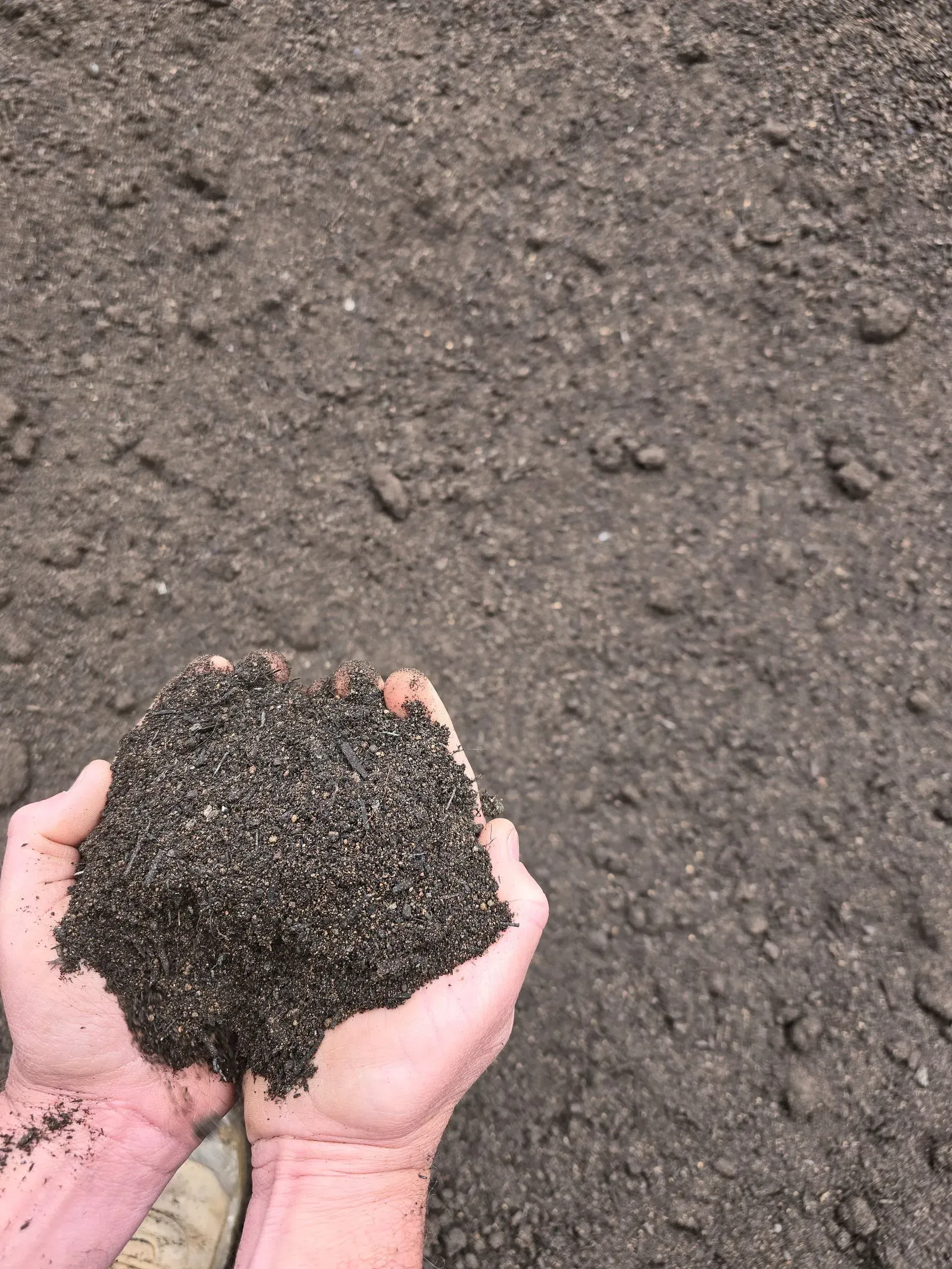 A Pile of Soil In Someones Hands — BVN Landscape and Concrete Supplies in St Georges Basin, NSW