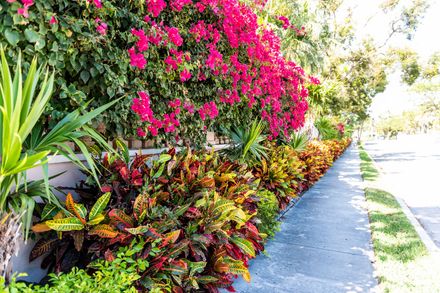 House corner featuring a landscaped garden bed