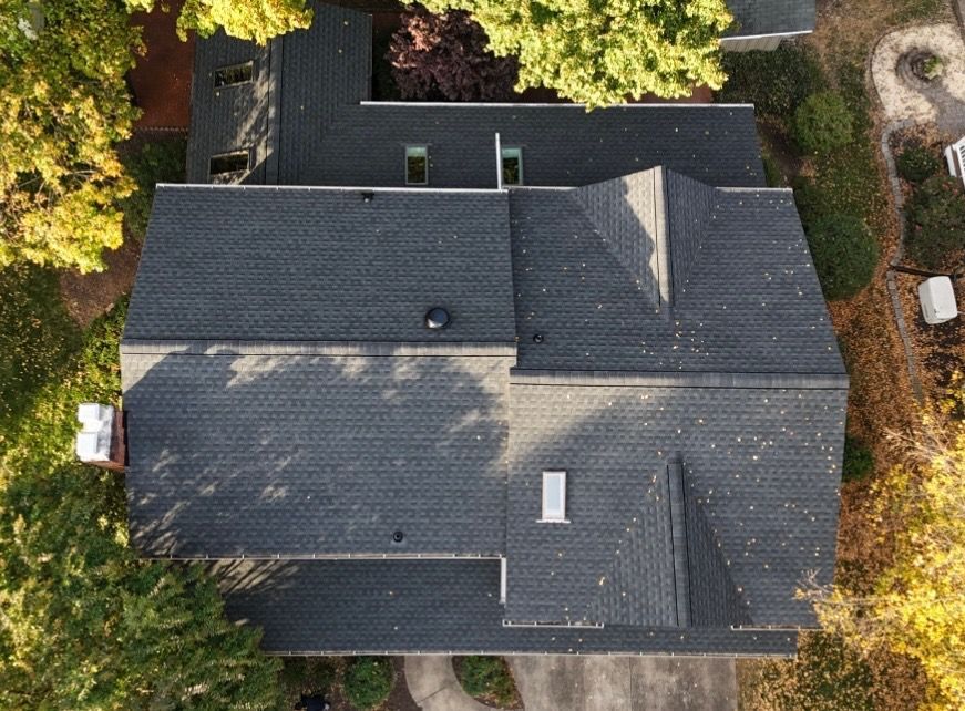 An aerial view of a house with a black roof surrounded by trees.