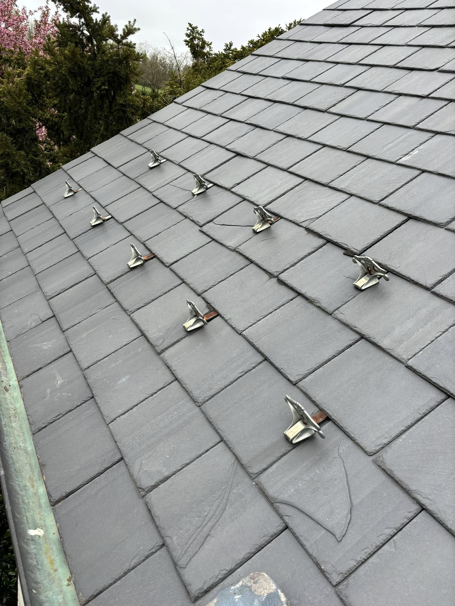A close up of a roof with slate tiles and trees in the background.