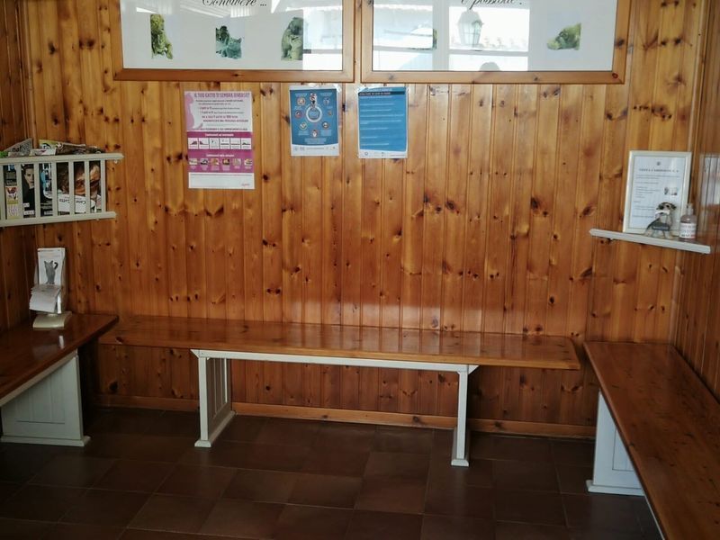 Una sala d'attesa con pareti in legno e una panca