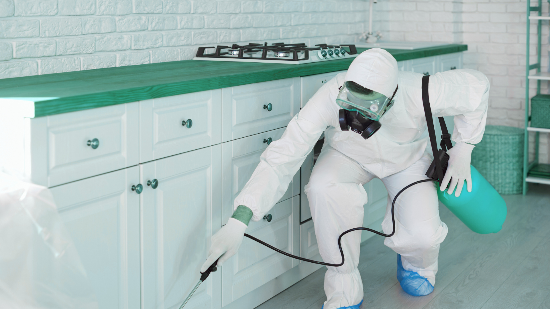 pest control compliance software
