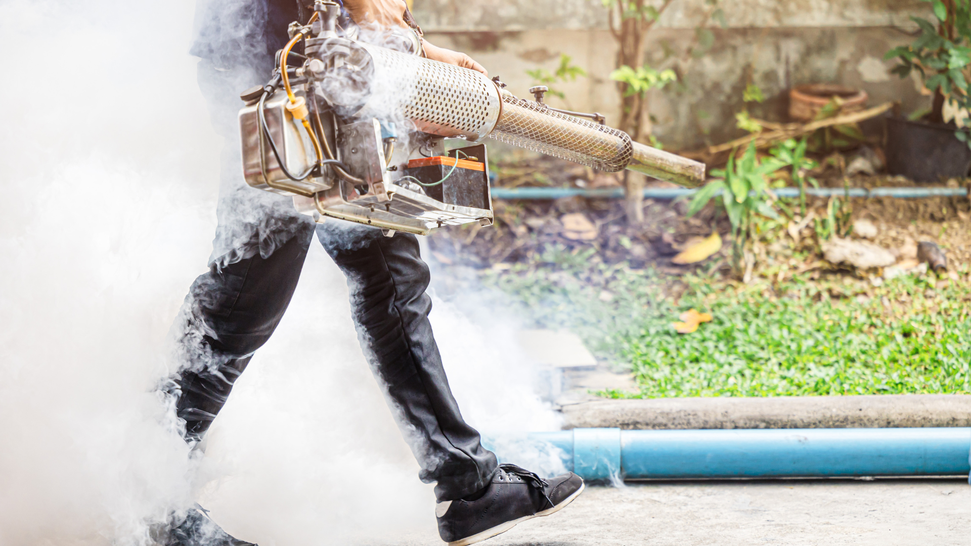 seasonal pest control