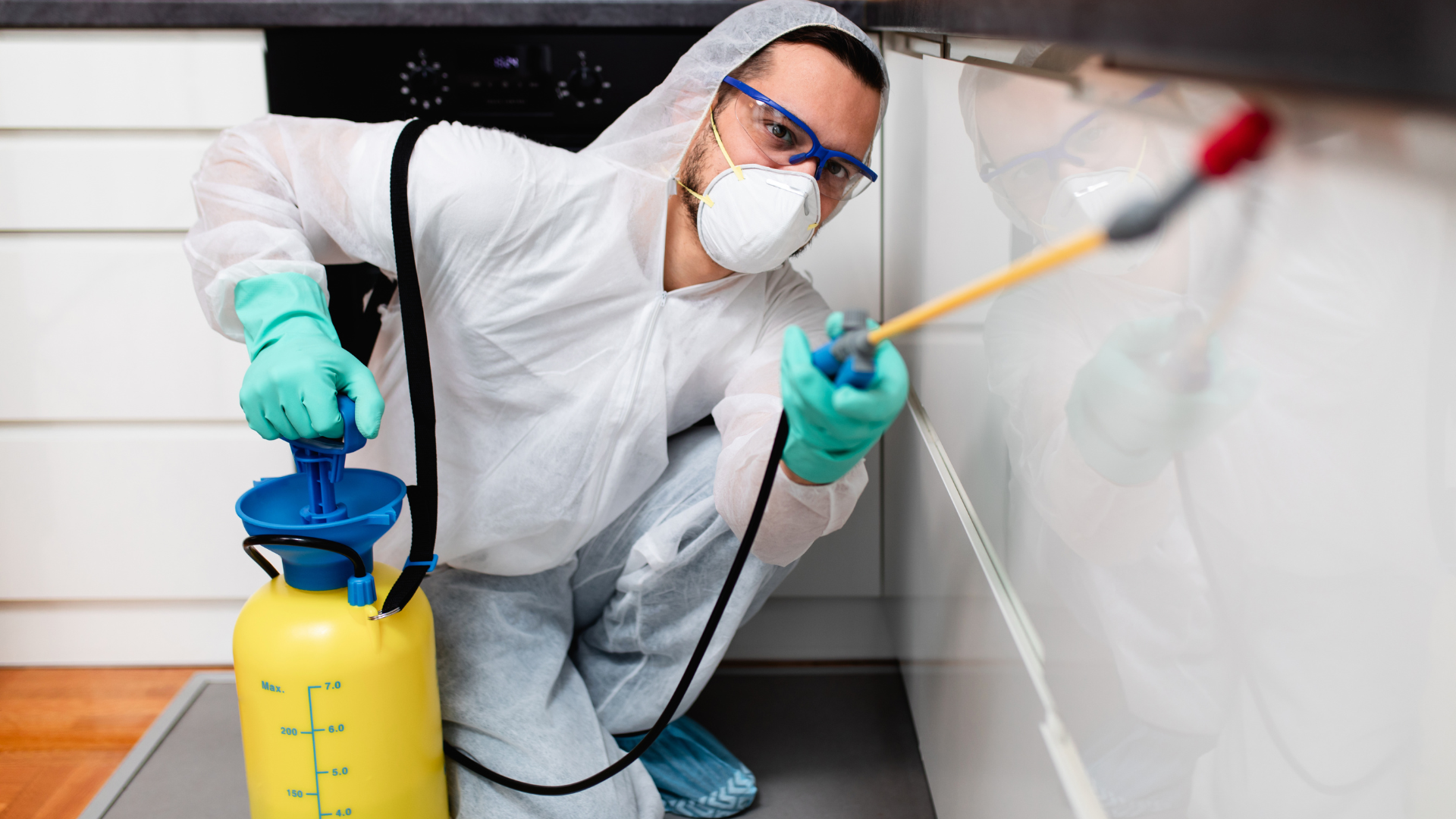 pest control automation
