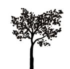 Logo Hans van der Werf