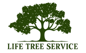 A logo for birmingham tree service with a tree on it