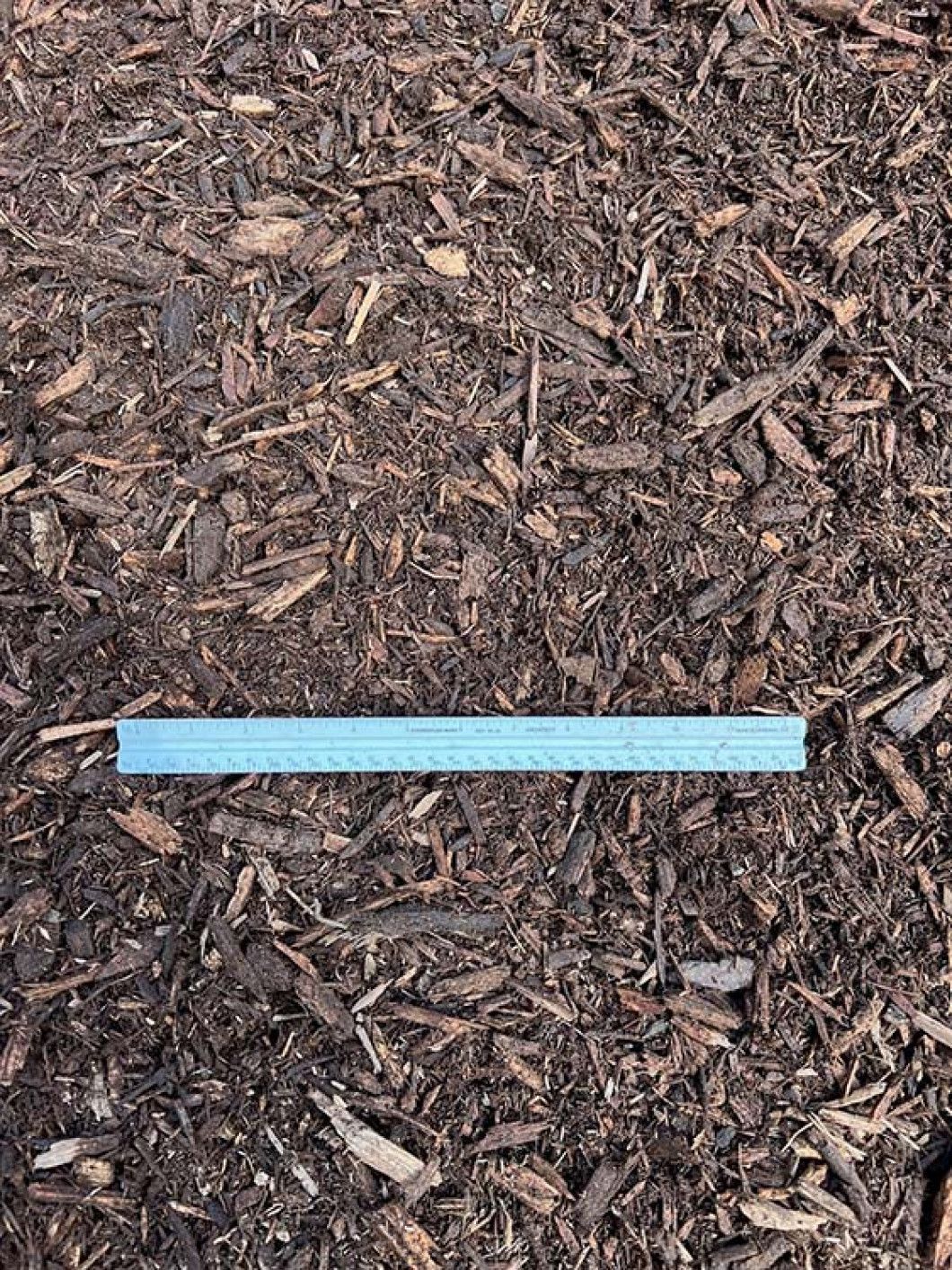 Light Natural Mulch