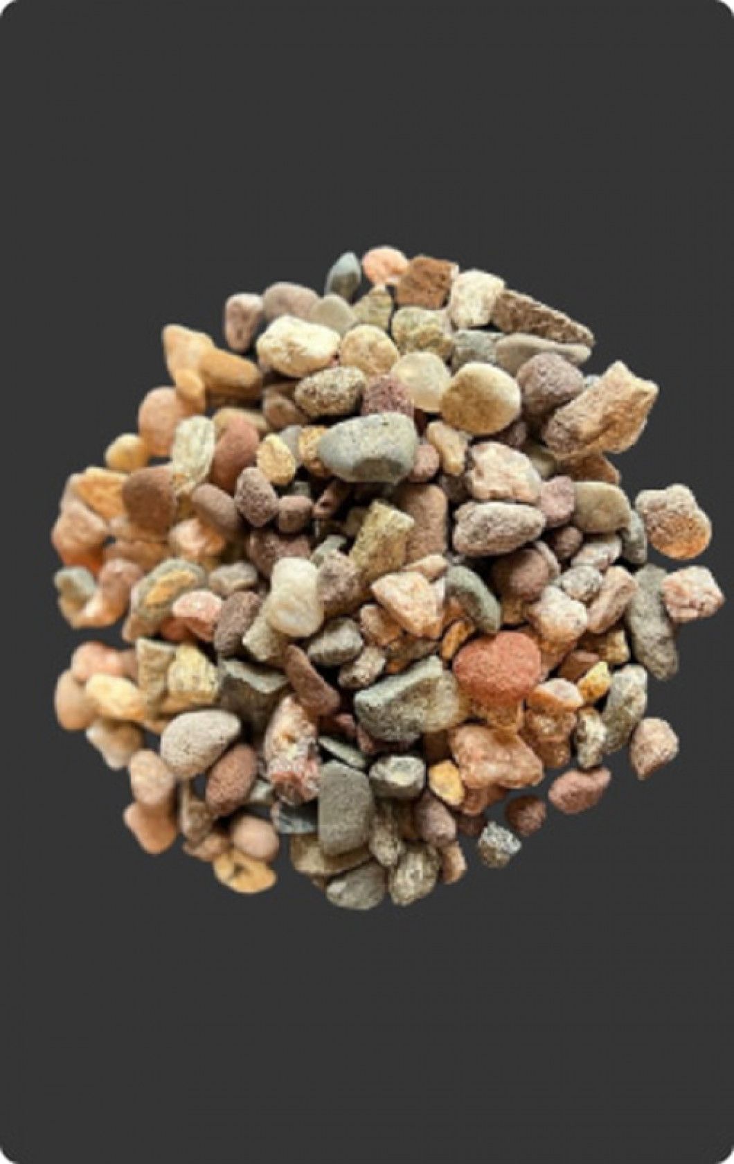 Nutmeg Stone 3/4-1