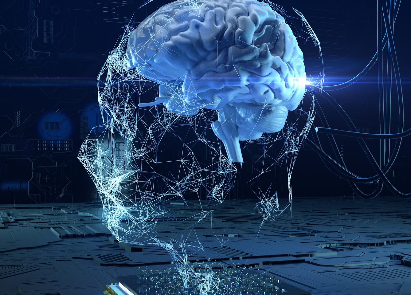 A computer generated image of a brain coming out of a skull.