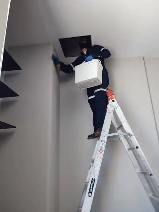 GRUPO ZARGO FUMIGACIONES GRUPO ZARGO FUMIGACIONES