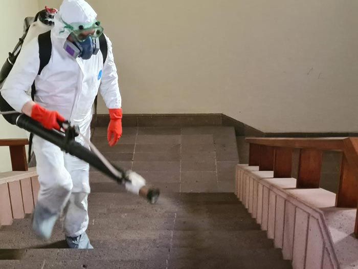 GRUPO ZARGO FUMIGACIONES GRUPO ZARGO FUMIGACIONES