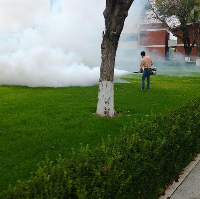 GRUPO ZARGO FUMIGACIONES GRUPO ZARGO FUMIGACIONES
