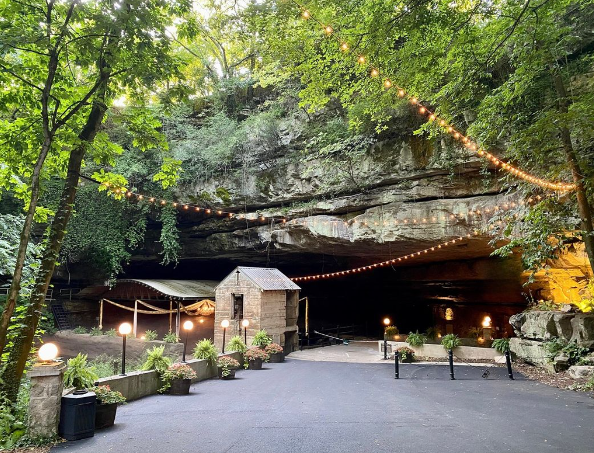 A driveway leading to a cave surrounded by trees and lights.