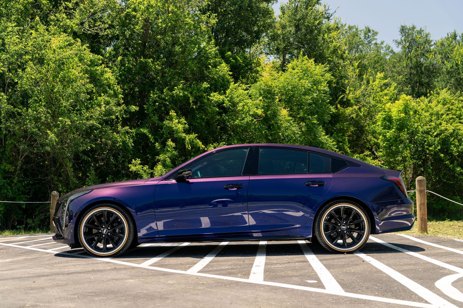 Blue sedan parked in a marked lot with dense green trees behind it