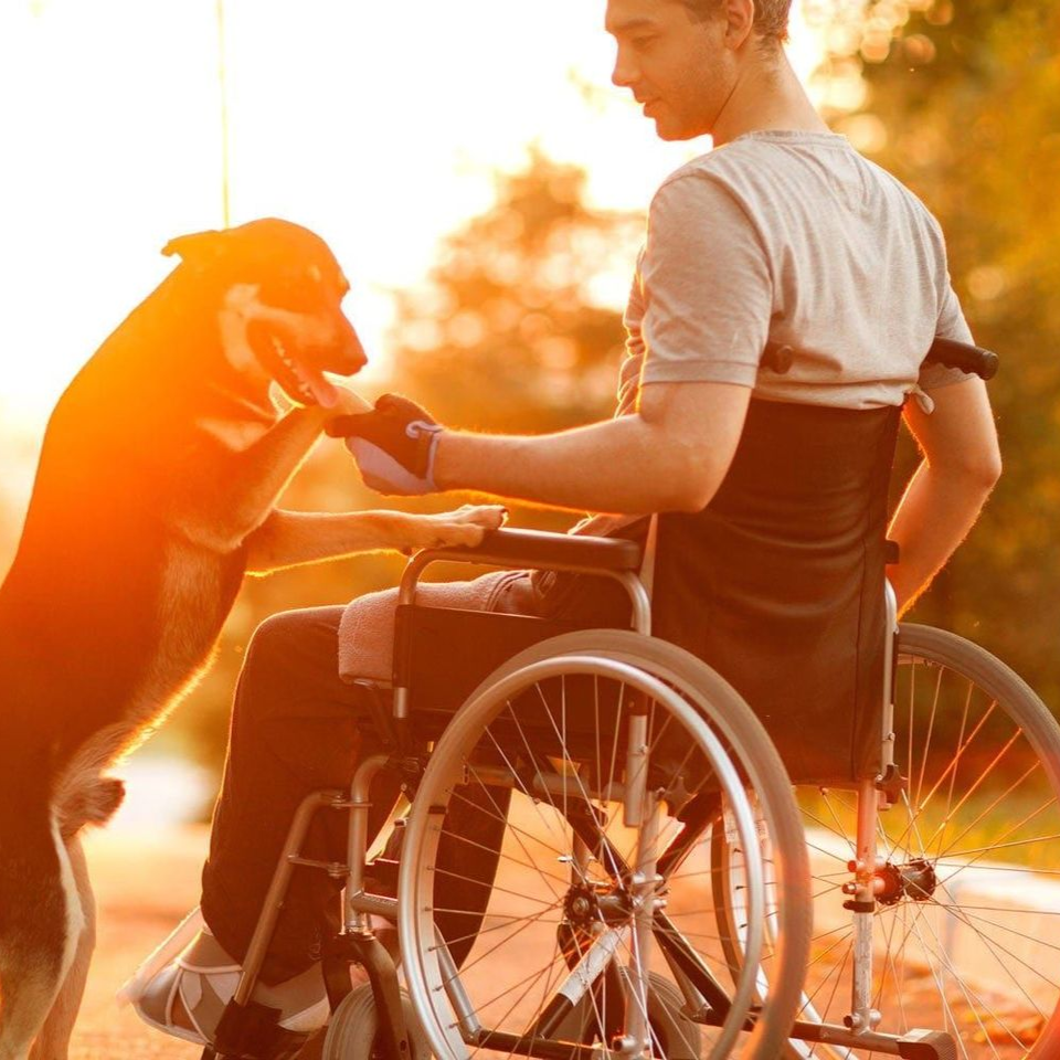 Man using wheelchair rental outdoors with their dog.