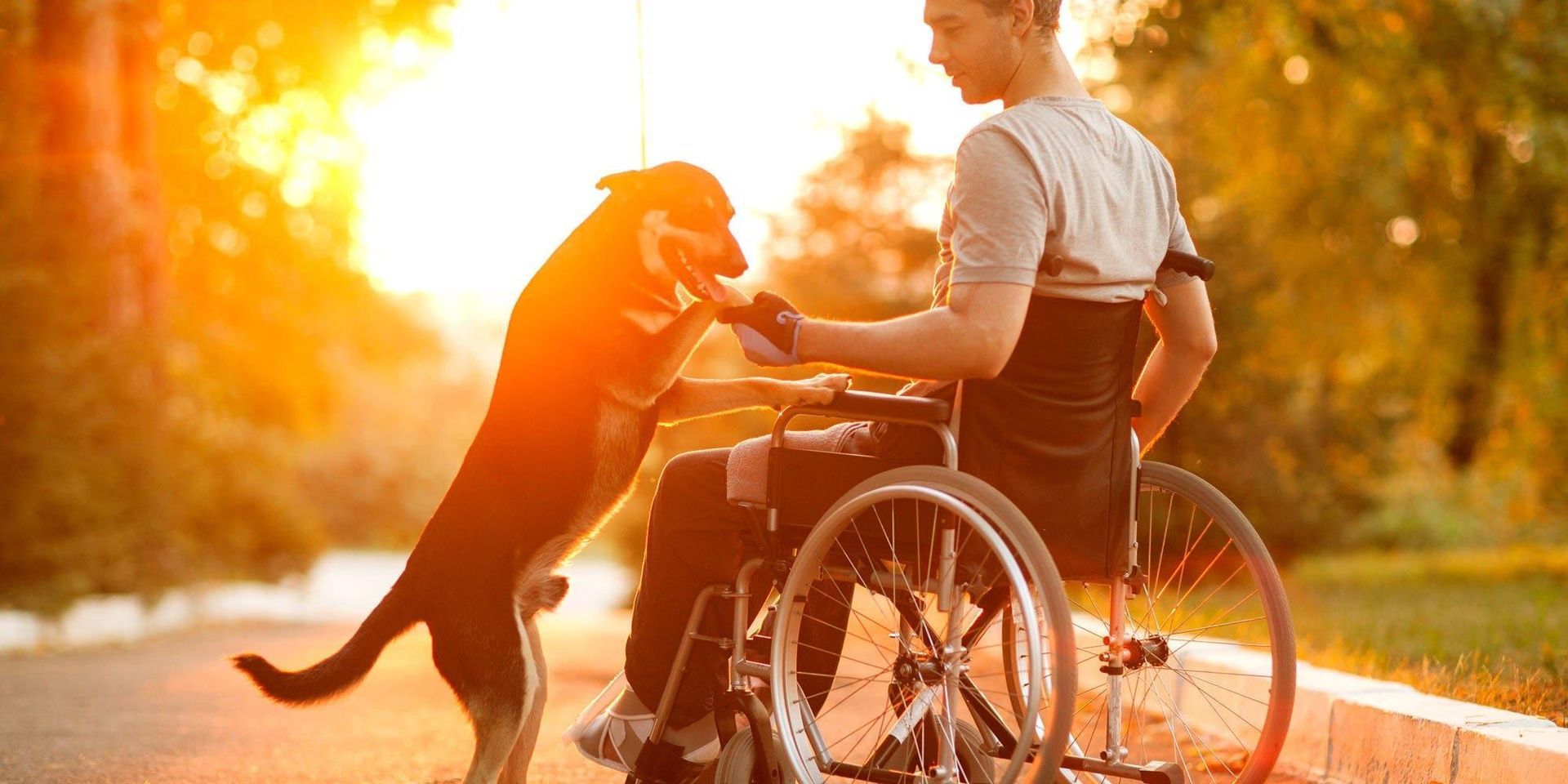 A man in a wheelchair is playing with a dog.