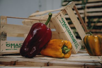 carciofi carciofi