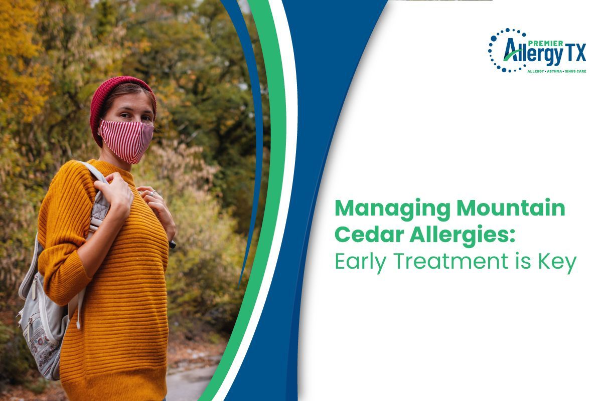 mountain cedar allergy