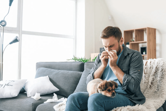 Sublingual Allergy Drops