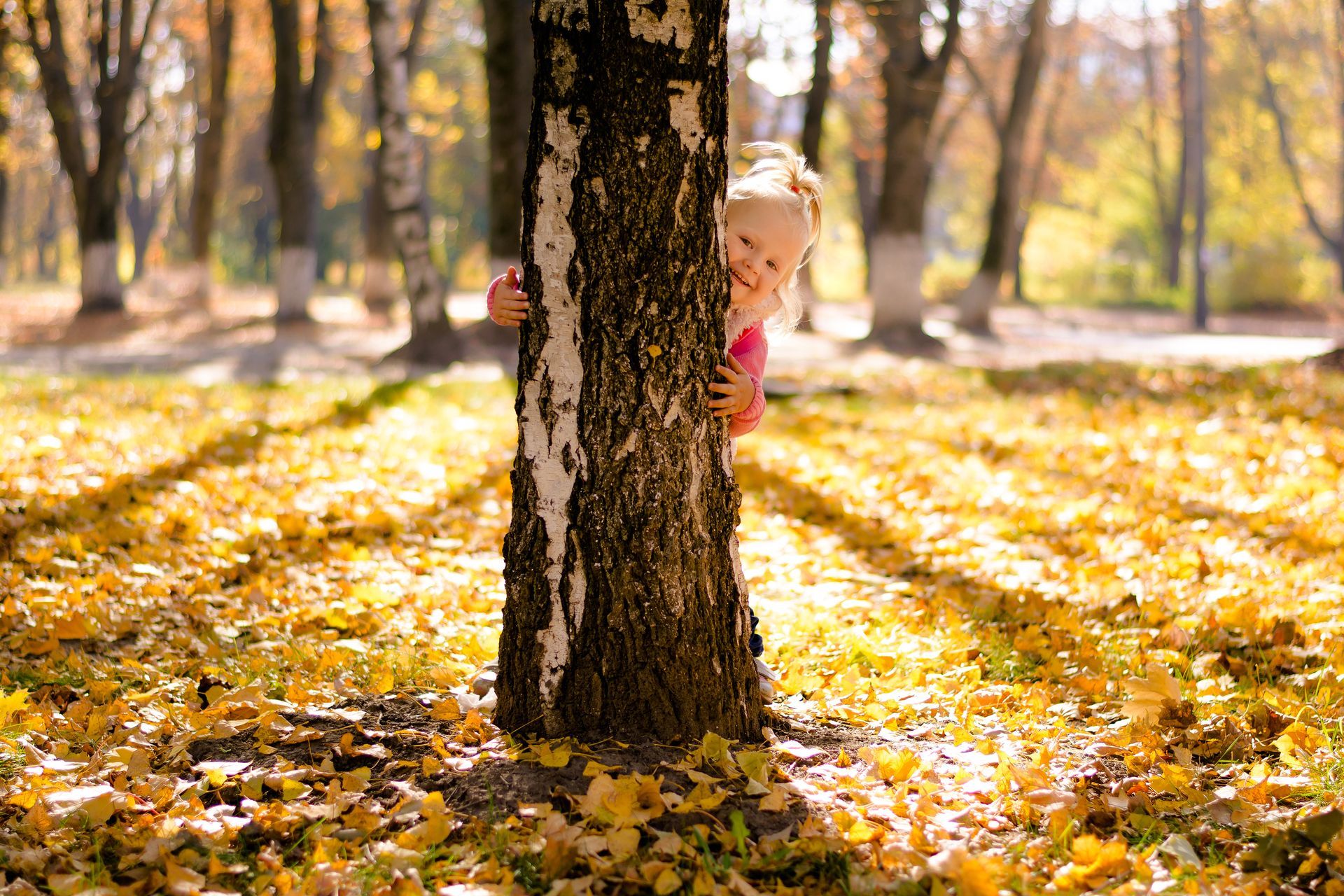 oak tree allergy