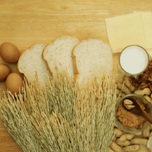 food allergy causes