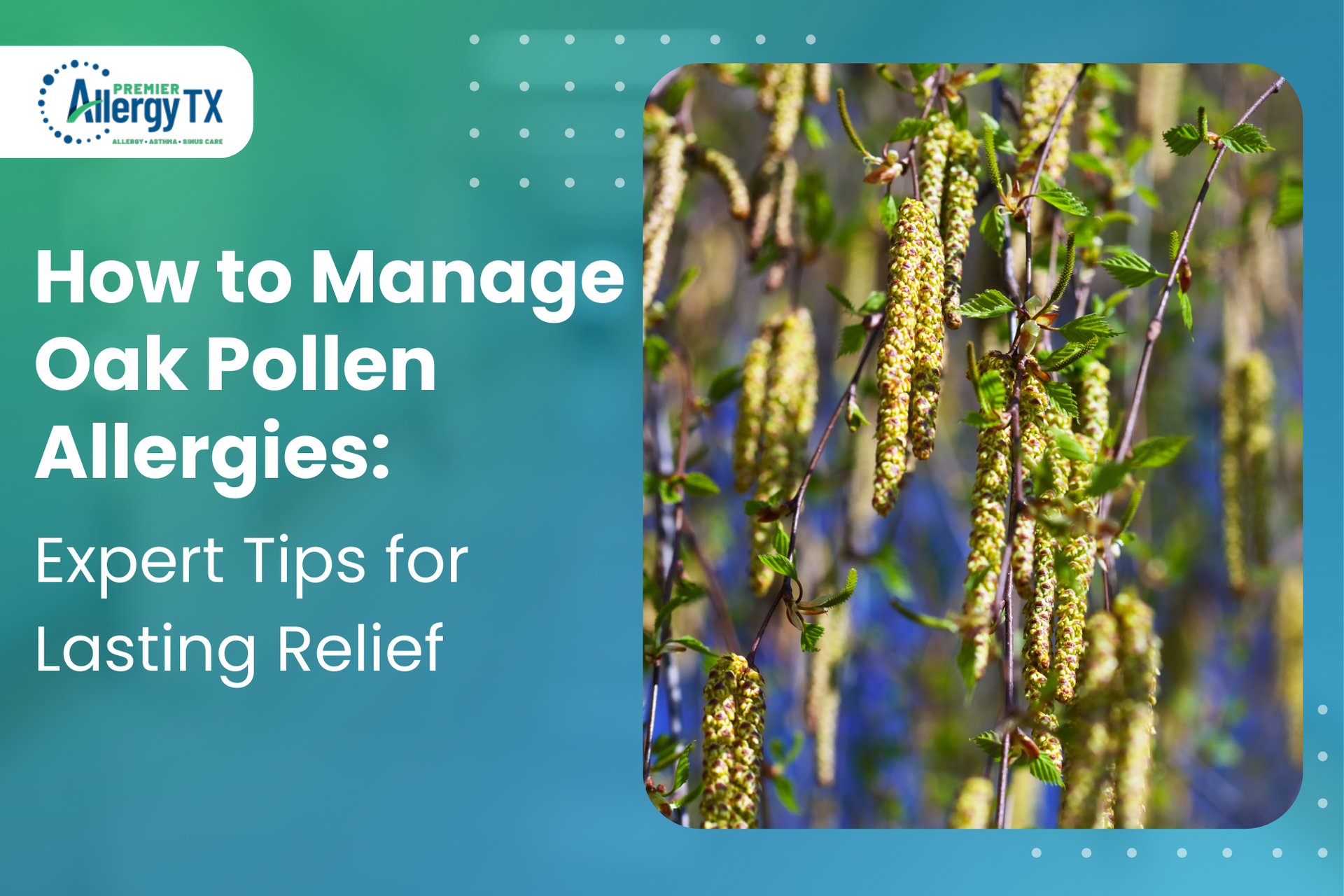 Oak trees release pollen that triggers severe allergic reactions in oak allergy sufferers.
