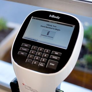 InBody body composition scan